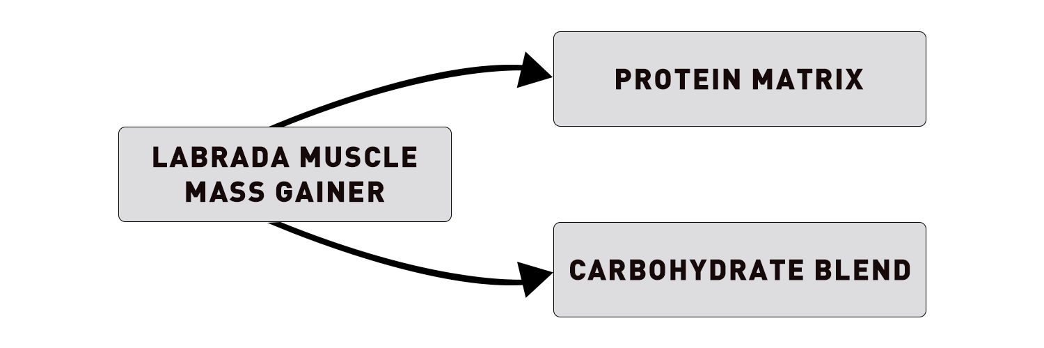 Labrada Muscle Mass Gainer Advantage