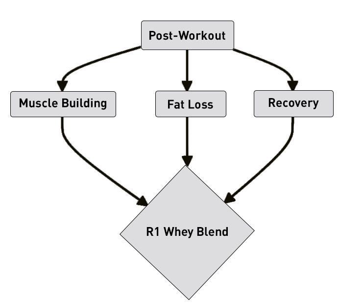 Elevate Your Fitness Regimen Today