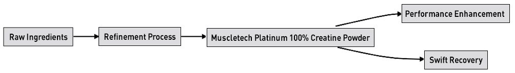 upercharging Workouts An Introduction to Muscletech Platinum 100% Creatine Powder