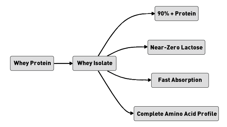 Whey Isolate The Complete Amino Acid Profile