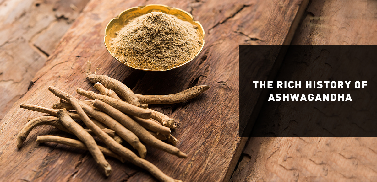 The Rich History of Ashwagandha